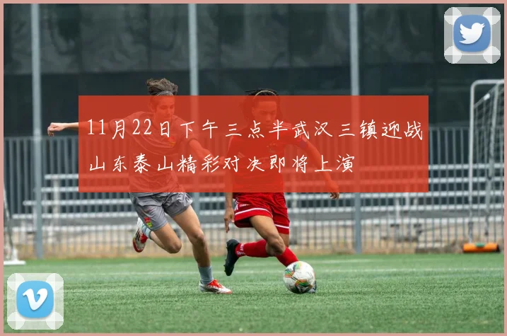 11月22日下午三点半武汉三镇迎战山东泰山精彩对决即将上演