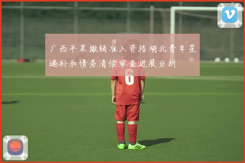 广西平果撤销准入资格湖北青年星递补和债务清偿审查进展分析