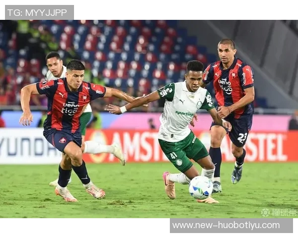 帕尔梅拉斯坚决拒绝1600万欧元报价继续留住小将爱德华多 帕尔梅拉斯坚决拒绝1600万欧元报价继续留住小将爱德华多